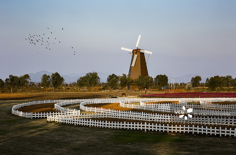 漩门湾湿地公园图片素材