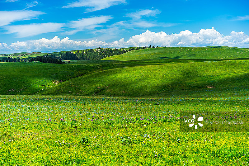 喀拉峻春天草原图片素材