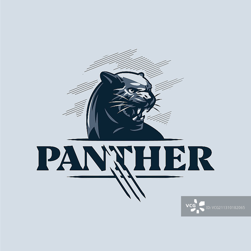 露出牙齿的黑色攻击性黑豹图片素材