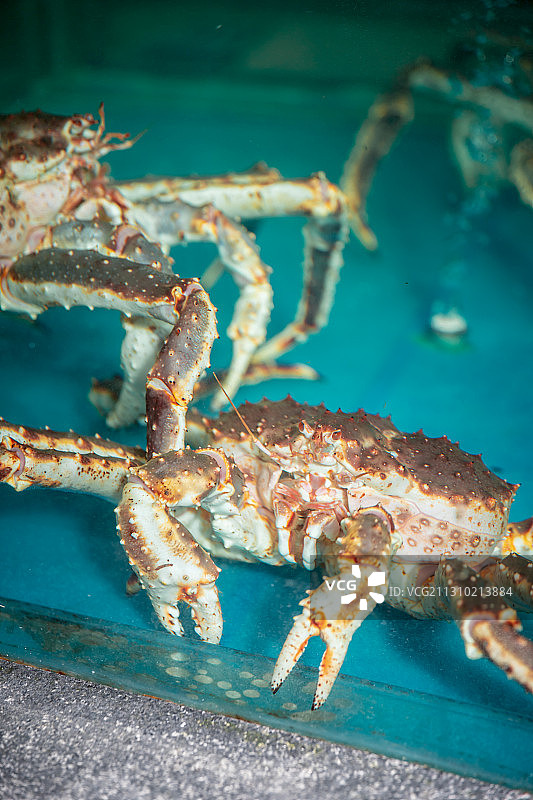 海鲜帝王蟹图片素材