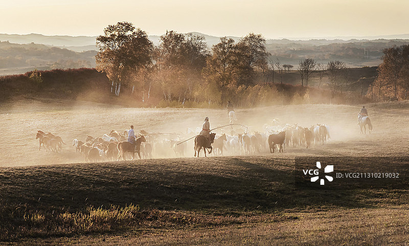牧马人图片素材