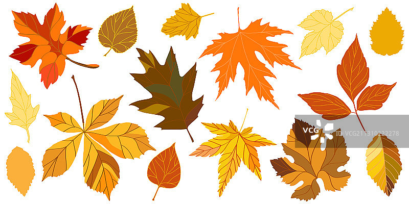 黄色秋季落叶图片素材