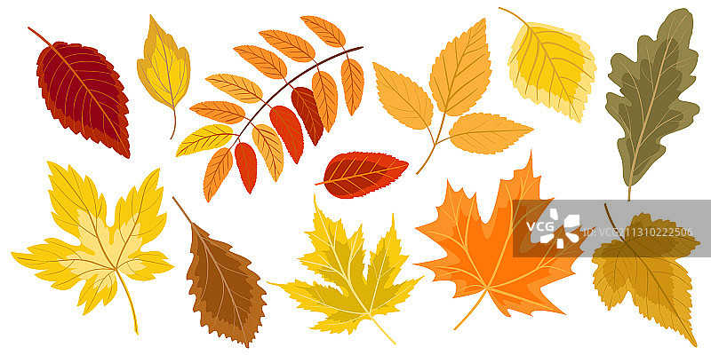 金色秋季落叶图片素材