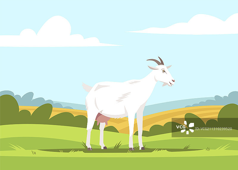 农田山羊半扁平设计图片素材