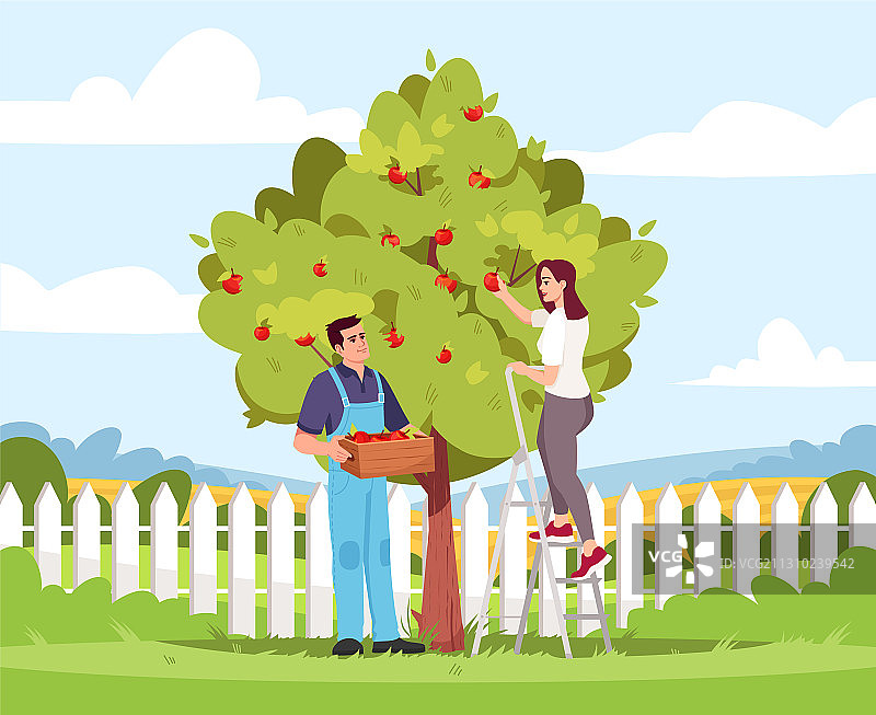 采摘苹果图片素材