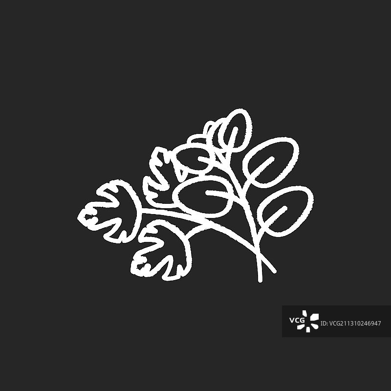黑色背景上的新鲜香草粉笔白色图标图片素材