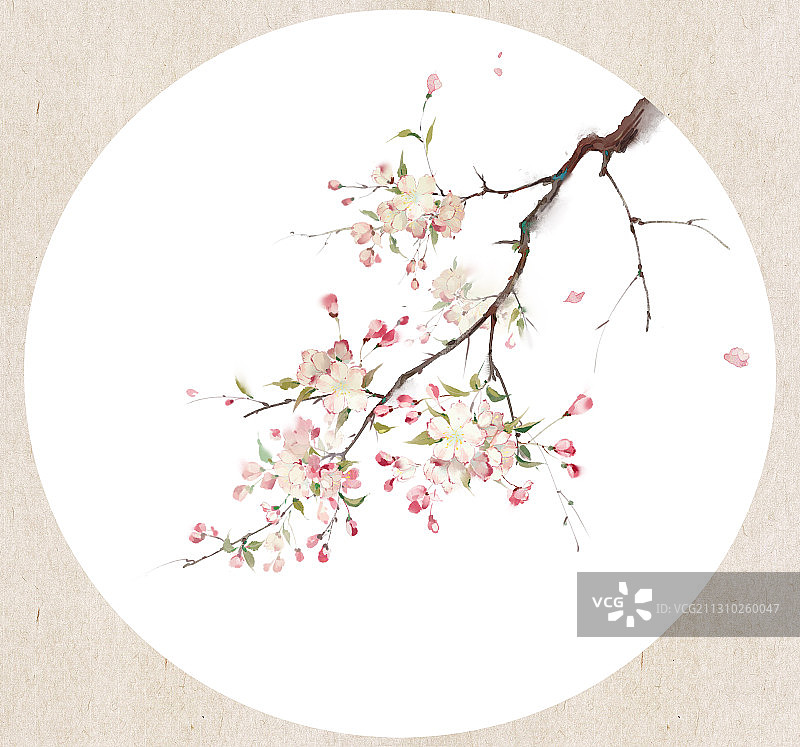 古风中国风水彩水墨海棠花卉插画插图图片素材