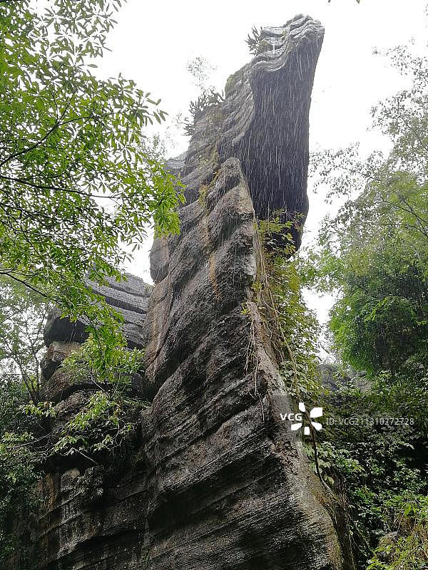 雨中的梭布垭石林。图片素材