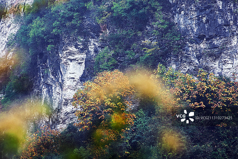 山野秋色图片素材