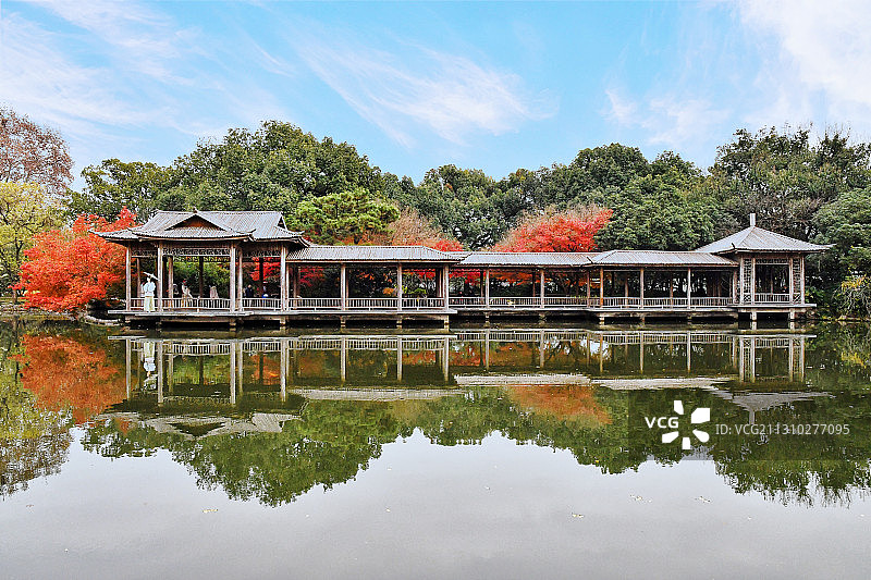 西湖十景-花港观鱼图片素材