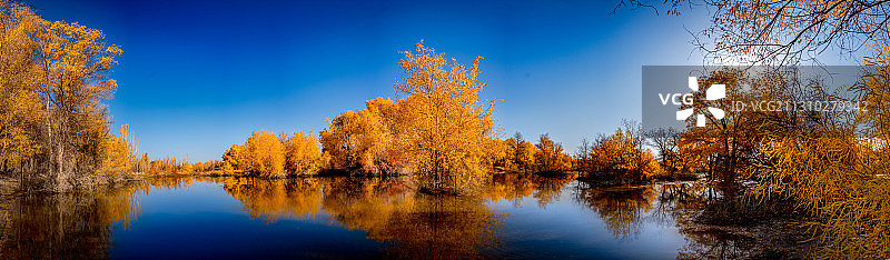 嗯，内蒙古额济纳旗，水中虎牙图片素材