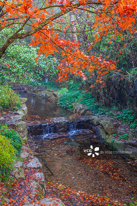 九溪烟树图片素材