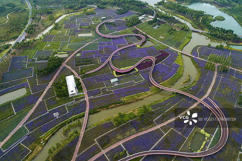 江苏省宿迁市三台山衲田花海图片素材