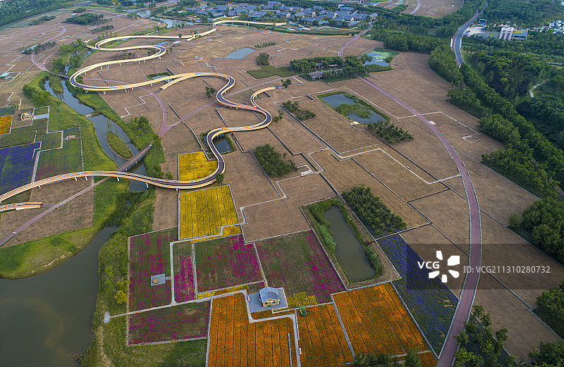 江苏省宿迁市三台山衲田花海图片素材