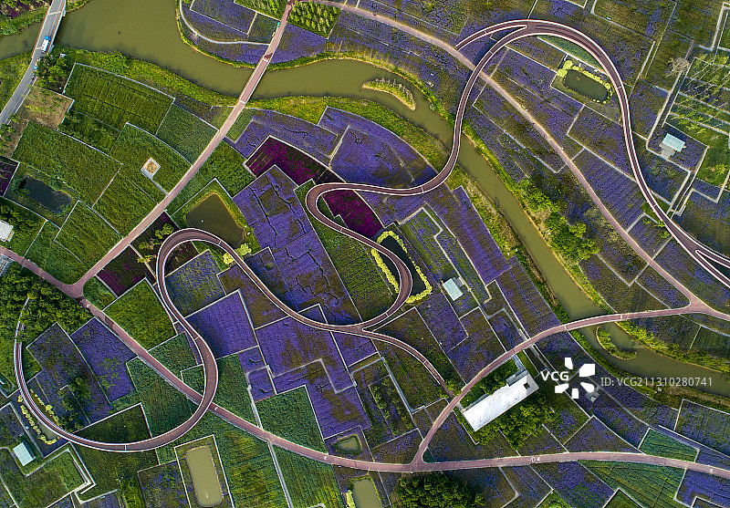 江苏省宿迁市三台山衲田花海图片素材