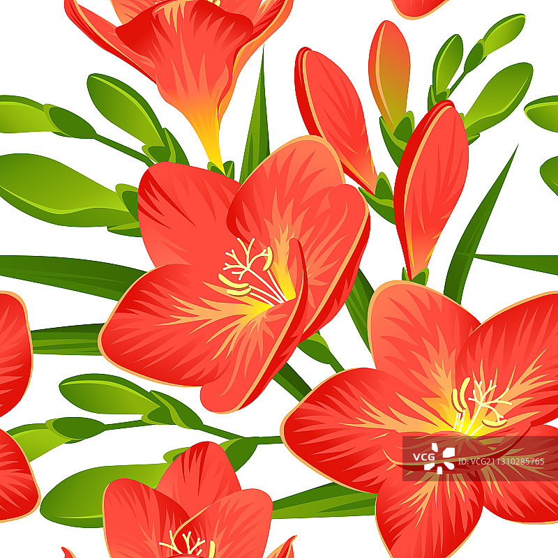 带有红色小苍兰的无缝背景图片素材