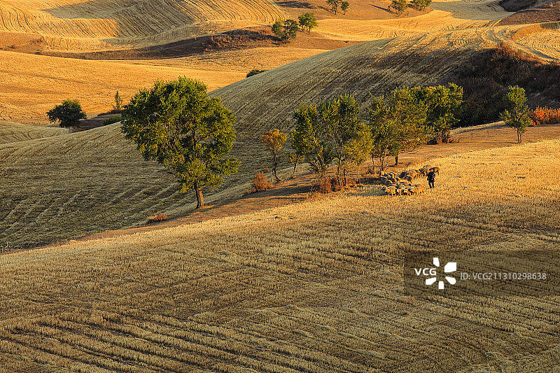 新疆昌吉州奇台县——半截沟——麦收后图片素材