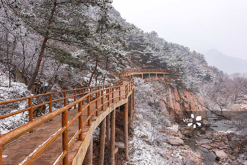 雪后的北九水满山的树挂图片素材