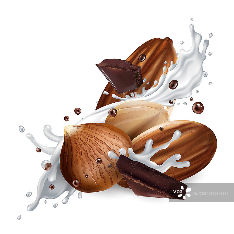 杏仁、榛子和巧克力块图片素材