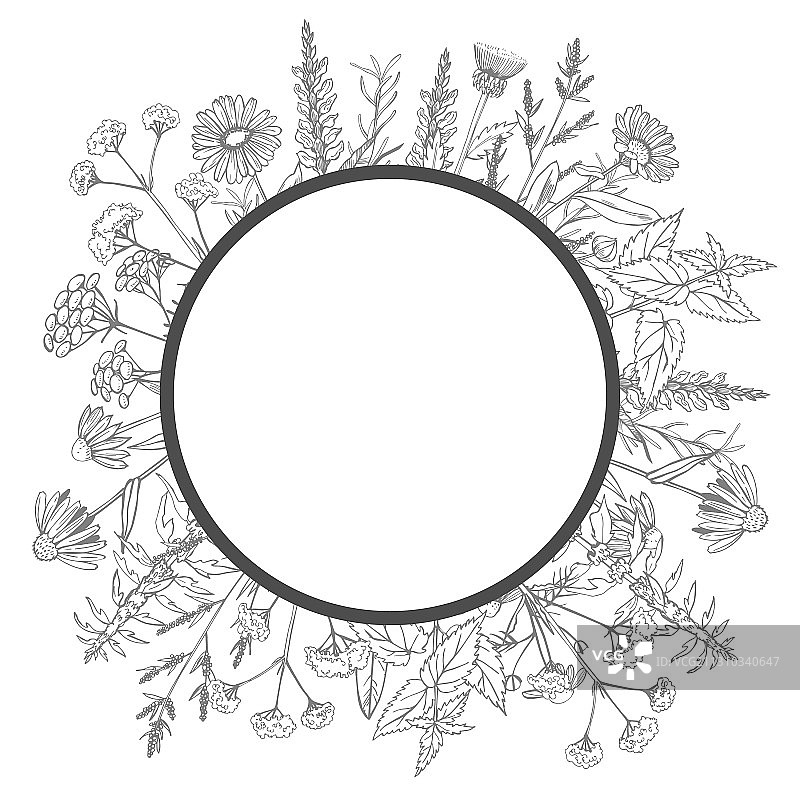 手绘草药边框图片素材