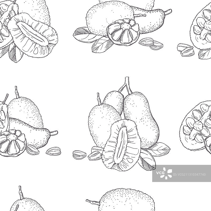 手绘面包果菠萝蜜无缝图案图片素材