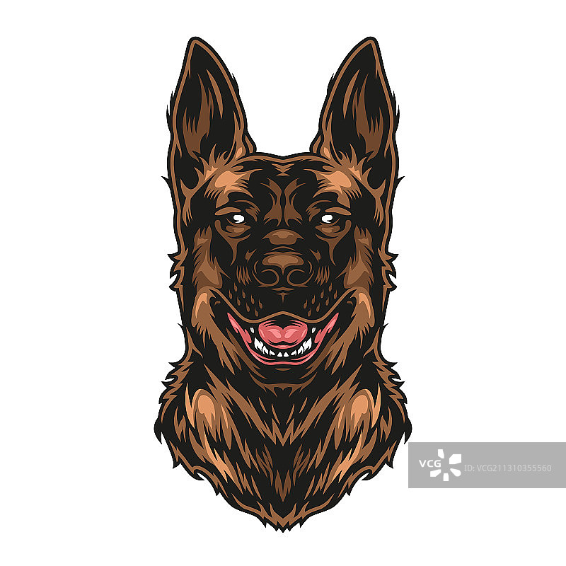 德国牧羊犬彩色概念图片素材