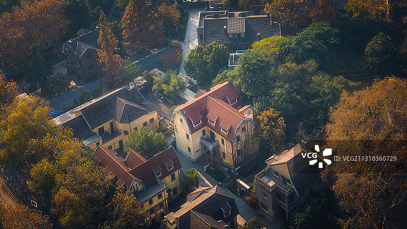 颐和路的秋天图片素材