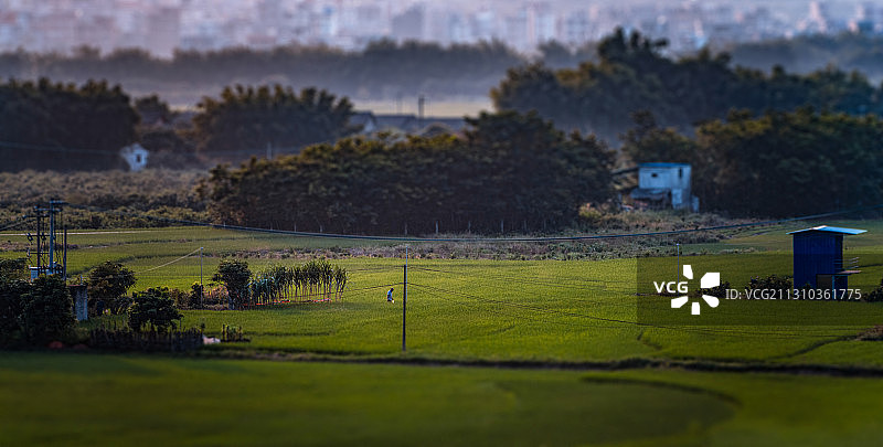 秋天的野望图片素材