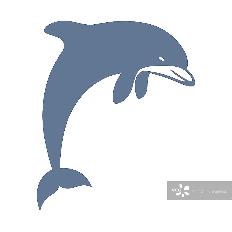 黑色海豚图片素材