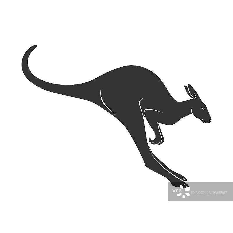 跳跃中的袋鼠图片素材