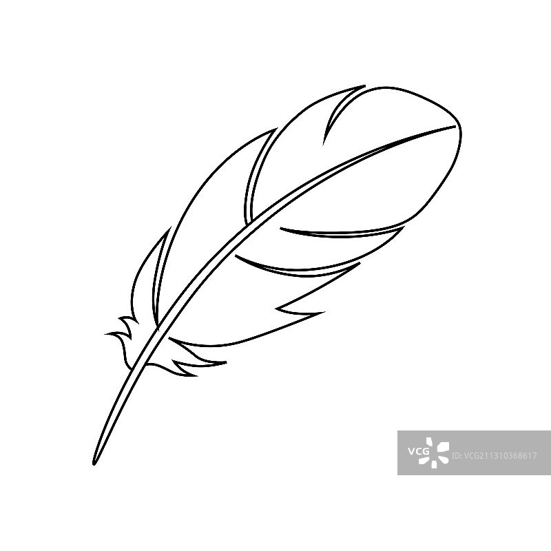 羽毛 4图片素材