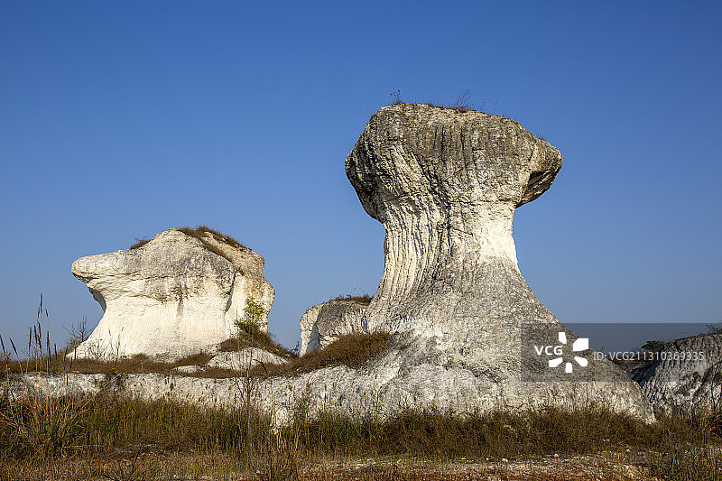 地质公园矿山矿石造型犹如动物形象图片素材