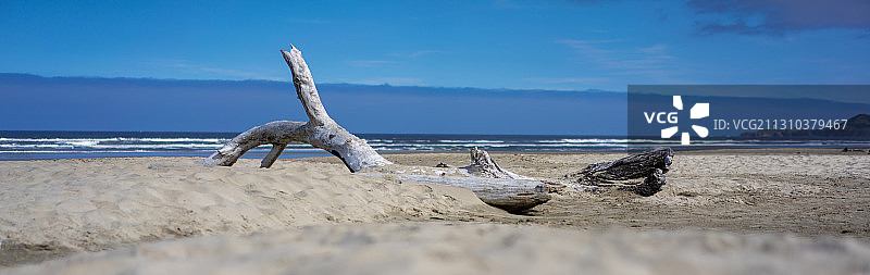 美国加利福尼亚101公路，海滩图片素材