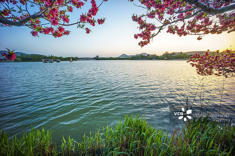春光融融+江苏省徐州市泉山区云龙湖风景名胜区小南湖景区图片素材