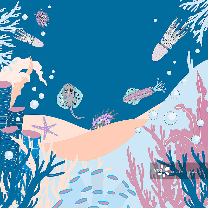 海洋生物群落图片素材