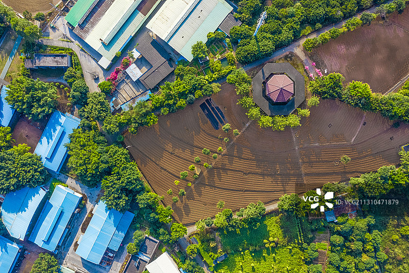 深圳光明农场大观园图片素材