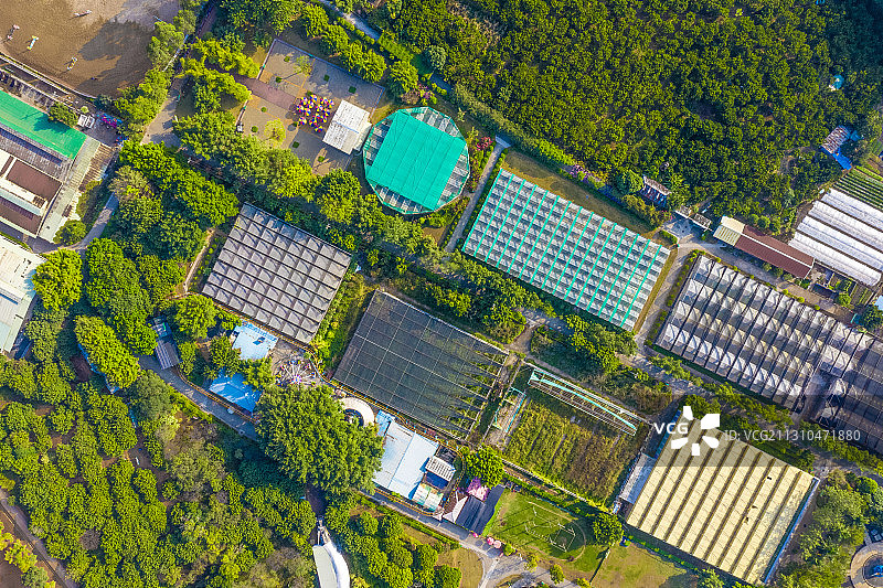 深圳光明农场大观园图片素材