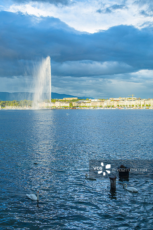 瑞士日内瓦的大喷泉，日落图片素材