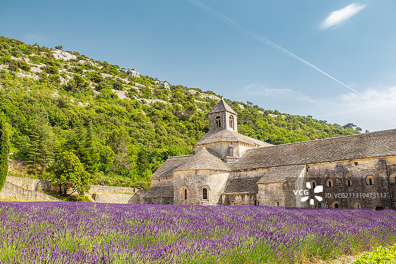 法国南部的普罗旺斯的中世纪修道院与薰衣草花田图片素材