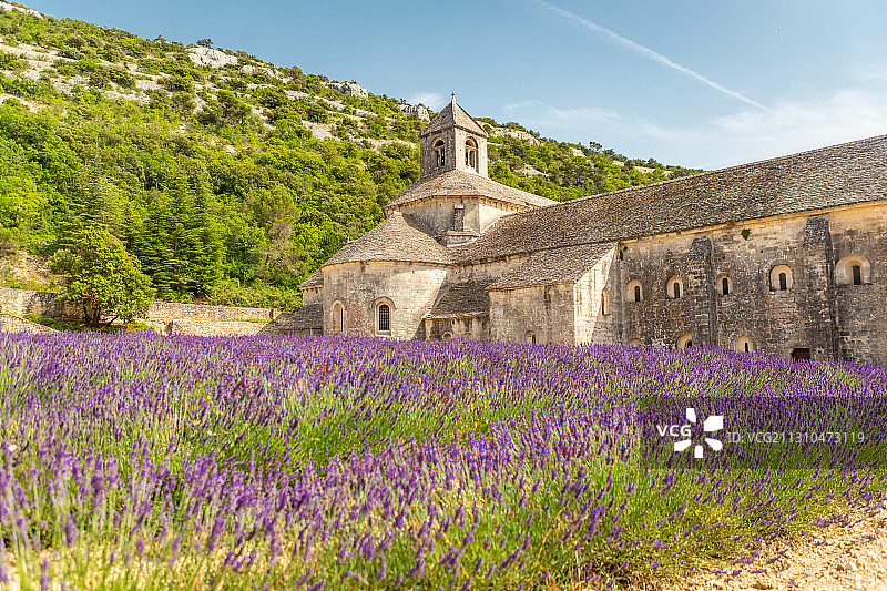 法国南部的普罗旺斯的中世纪修道院与薰衣草花田图片素材