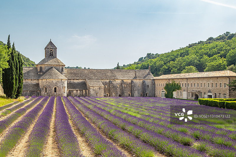 法国南部的普罗旺斯的中世纪修道院与薰衣草花田图片素材