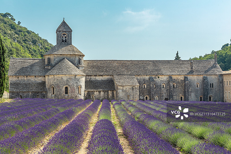 法国南部的普罗旺斯的中世纪修道院与薰衣草花田图片素材
