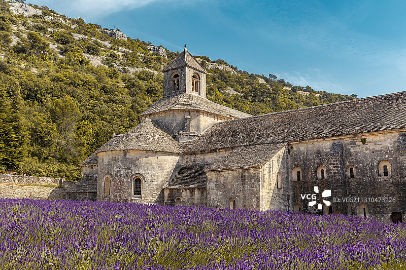 法国南部的普罗旺斯的中世纪修道院与薰衣草花田图片素材