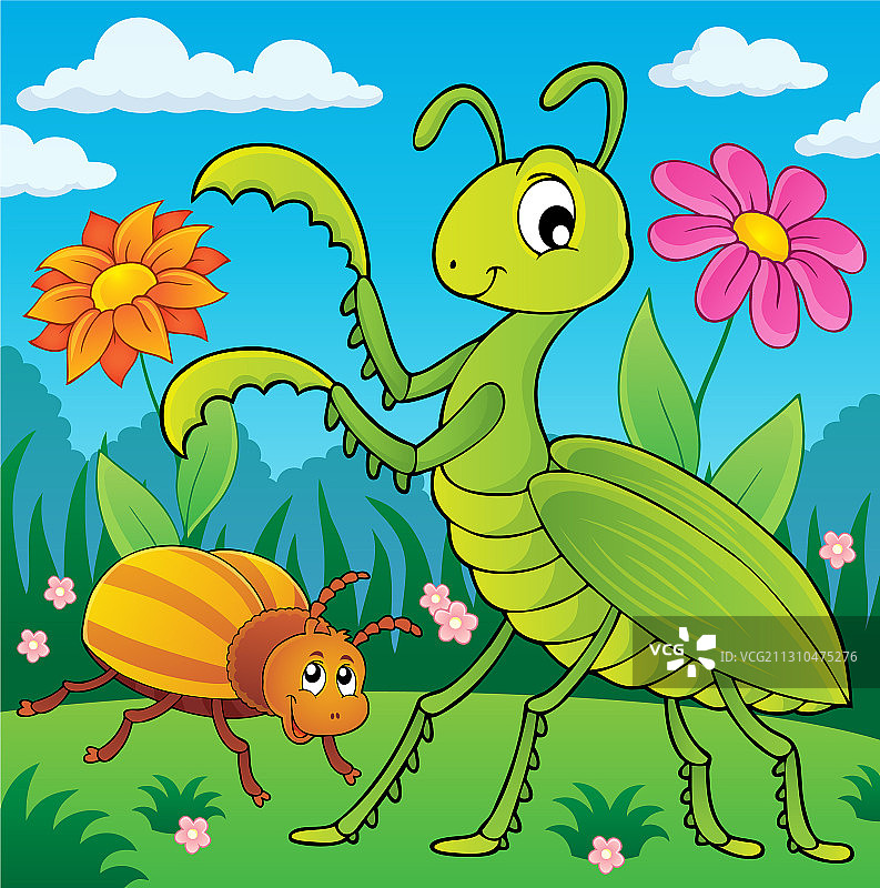 有螳螂和虫子的草甸图片素材