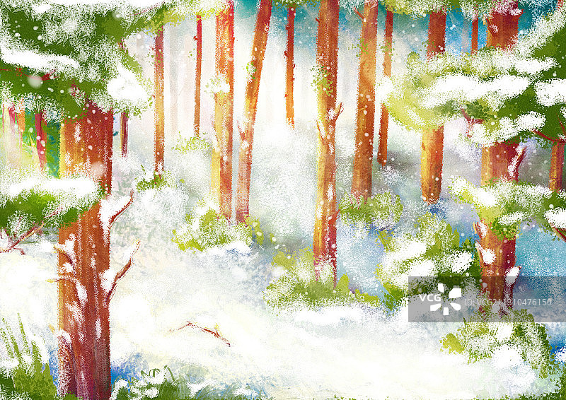 冬季森林雪景图片素材