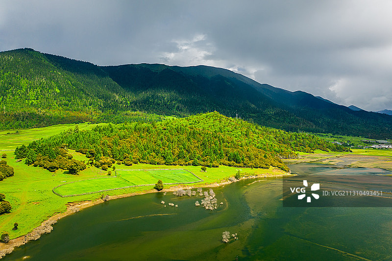 中国西藏林芝市巴宜区鲁朗镇鲁朗林海风光图片素材
