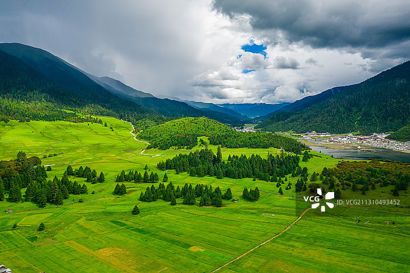 中国西藏林芝市巴宜区鲁朗镇鲁朗林海风光图片素材