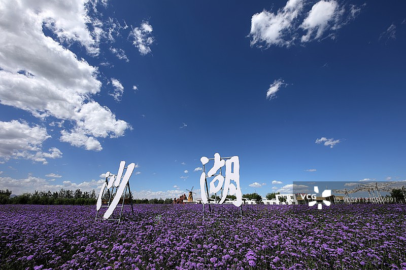 沙湖之夏图片素材