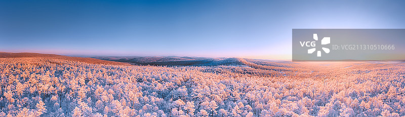 内蒙古呼伦贝尔根河大兴安岭雾凇图片素材