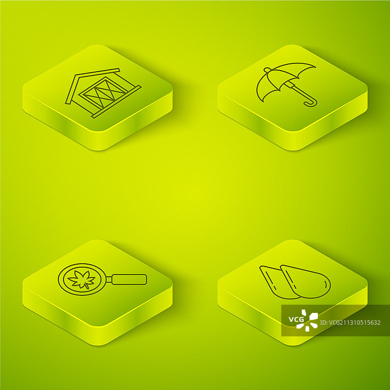 2.5D雨伞放大镜与叶子套装图片素材